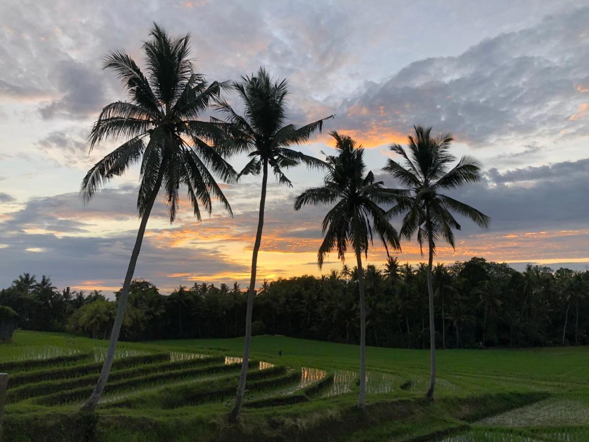 Coco Verde Bali Resort 타나롯 외부 사진