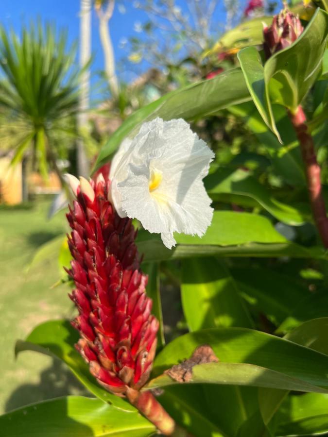 Coco Verde Bali Resort 타나롯 외부 사진